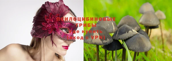 ешки Балахна