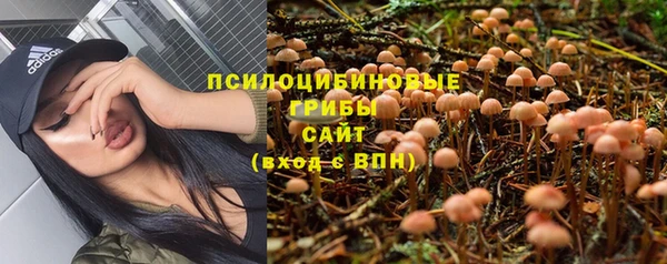 прущая мука Россошь